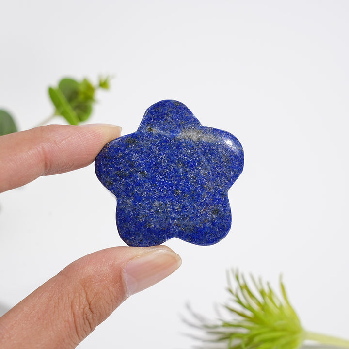 Natural Crystal Carving Lapis Lazuli Flower