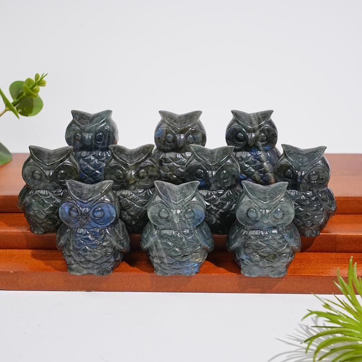 Natural Crystal Carving Cute Labradorite Chubby Owl