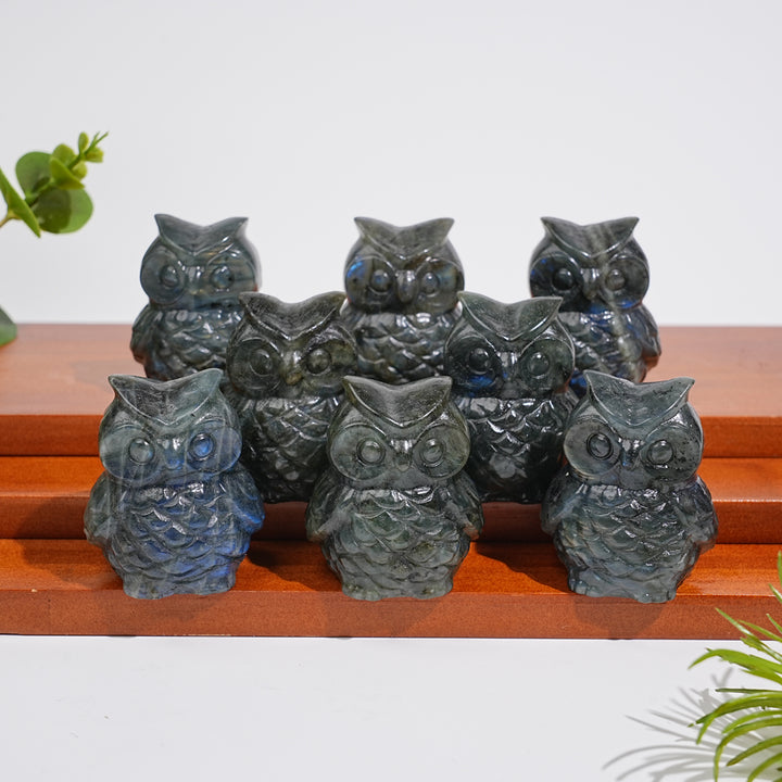 Natural Crystal Carving Cute Labradorite Chubby Owl