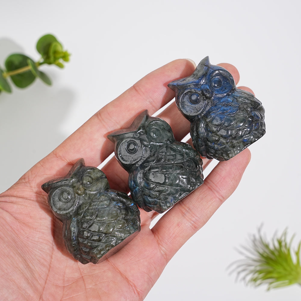 Natural Crystal Carving Cute Labradorite Chubby Owl