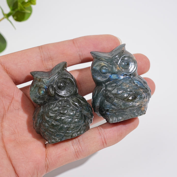 Natural Crystal Carving Cute Labradorite Chubby Owl