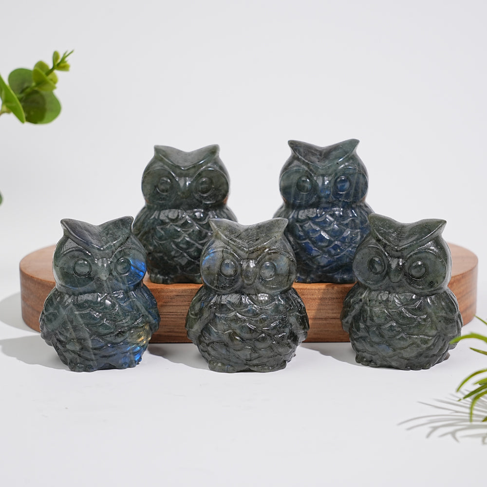 Natural Crystal Carving Cute Labradorite Chubby Owl