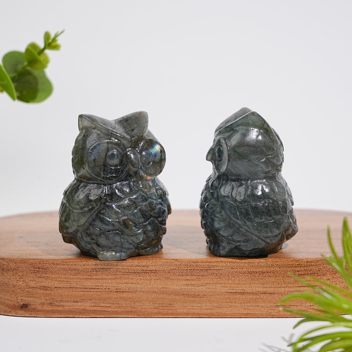 Natural Crystal Carving Cute Labradorite Chubby Owl