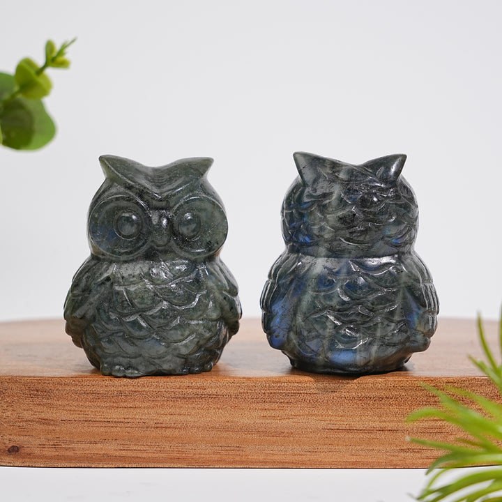 Natural Crystal Carving Cute Labradorite Chubby Owl
