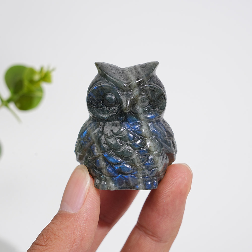 Natural Crystal Carving Cute Labradorite Chubby Owl