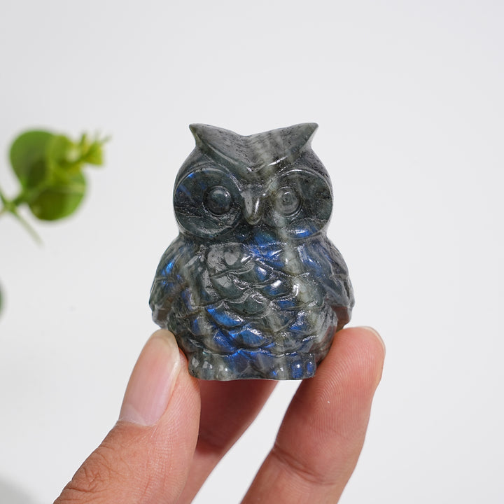 Natural Crystal Carving Cute Labradorite Chubby Owl