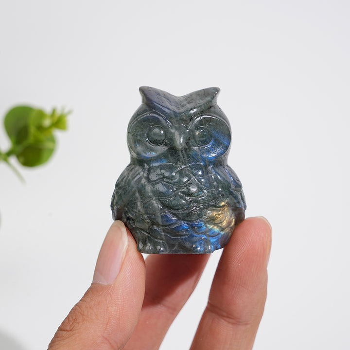 Natural Crystal Carving Cute Labradorite Chubby Owl