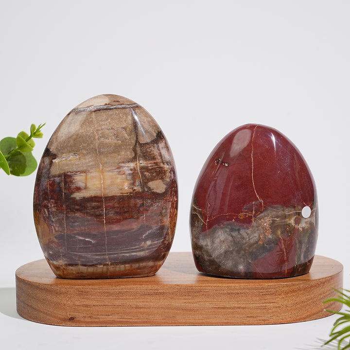 Unique,A Slightly Imperfect Natural Crystal Petrified Wood Ornament