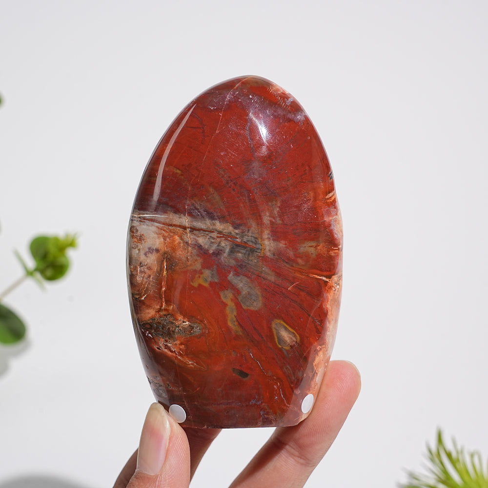 Unique,A Slightly Imperfect Natural Crystal Petrified Wood Ornament