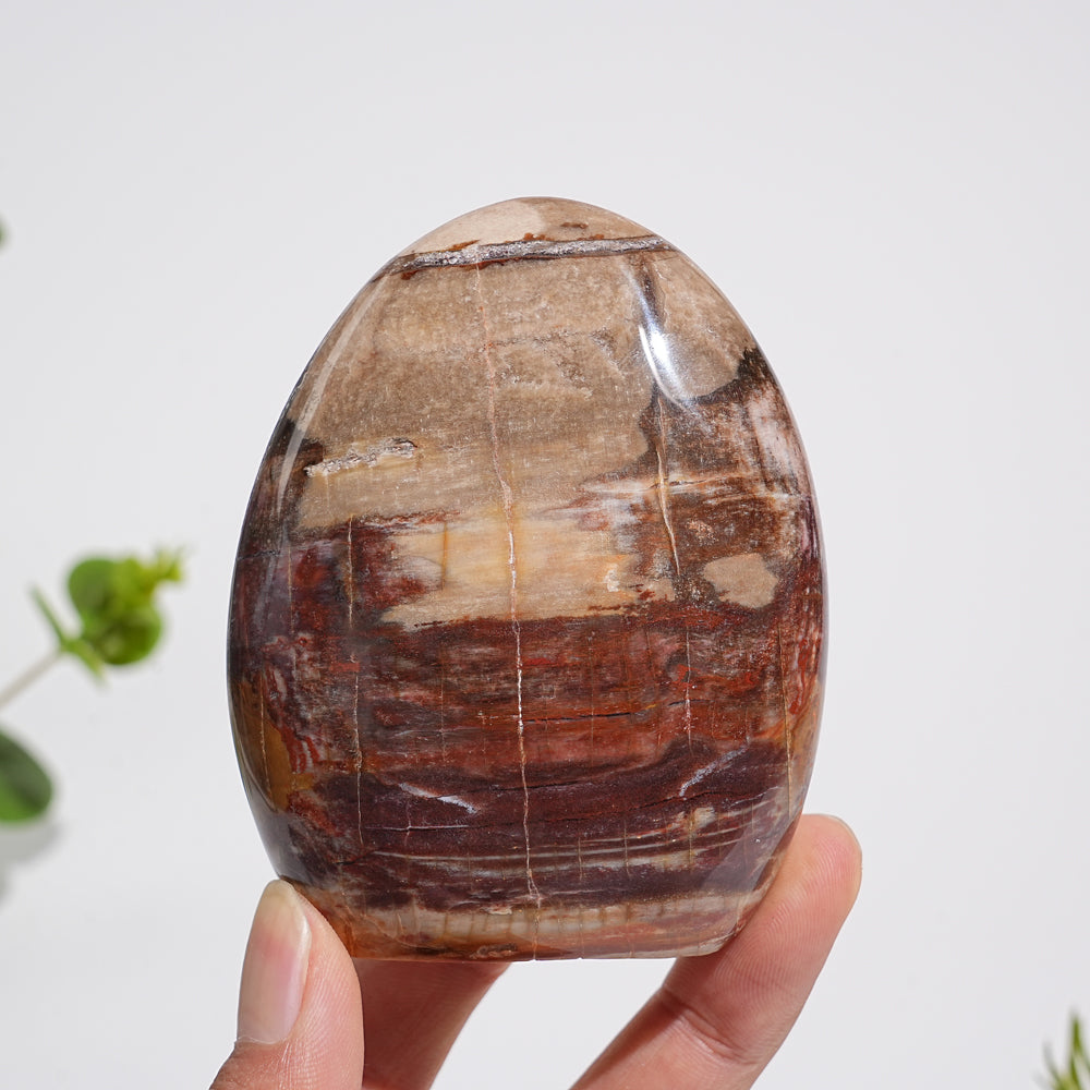 Unique,A Slightly Imperfect Natural Crystal Petrified Wood Ornament