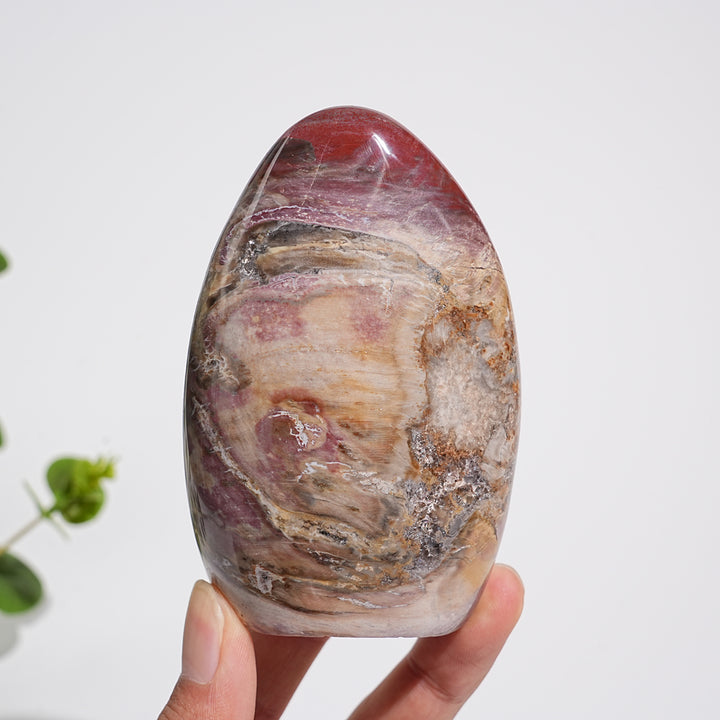 Unique,A Slightly Imperfect Natural Crystal Petrified Wood Ornament