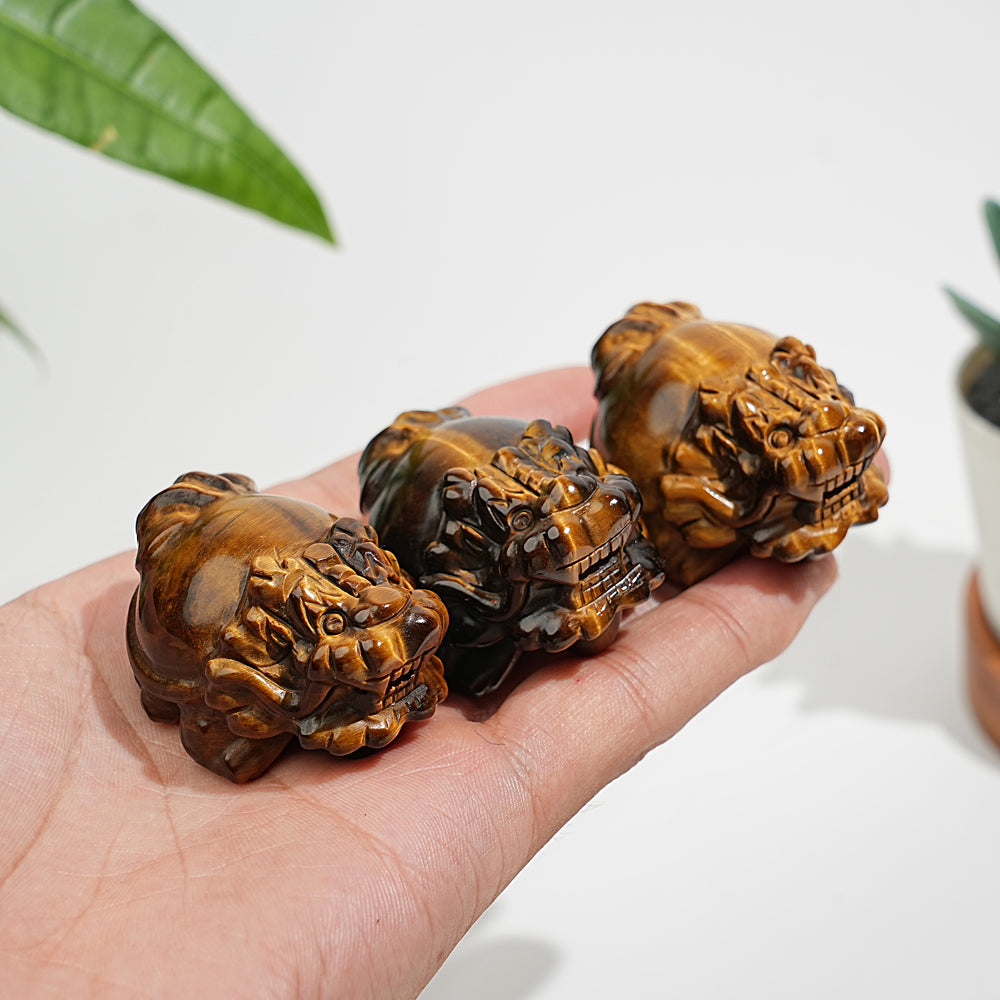 Natural Crystal Tiger Eye Dragon Turtle Carving