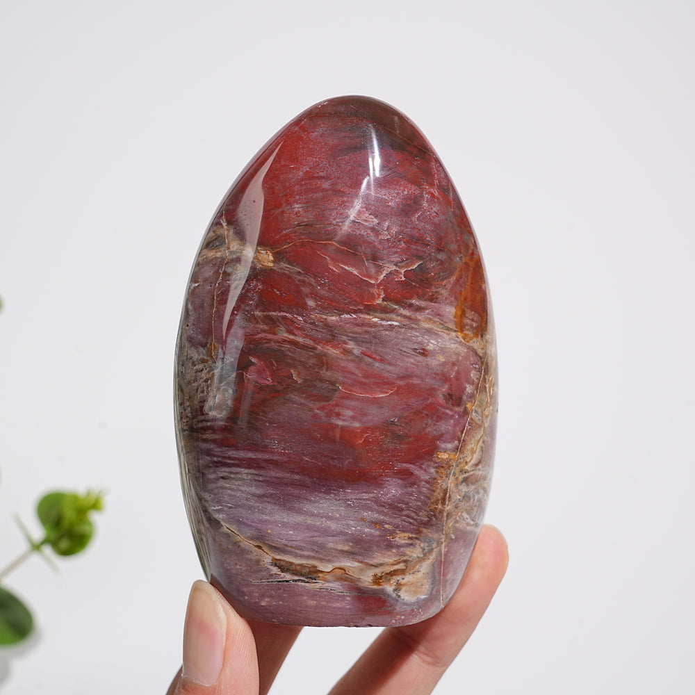 Unique,A Slightly Imperfect Natural Crystal Petrified Wood Ornament