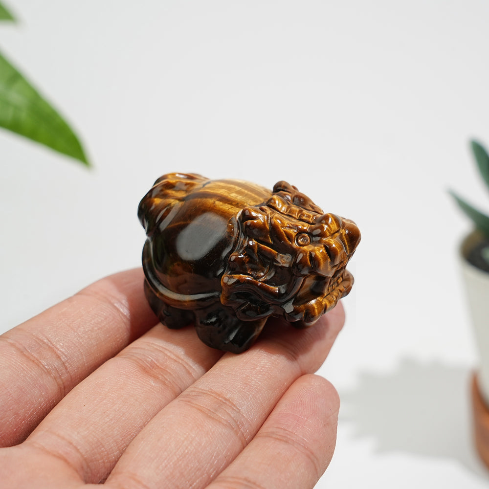 Natural Crystal Tiger Eye Dragon Turtle Carving
