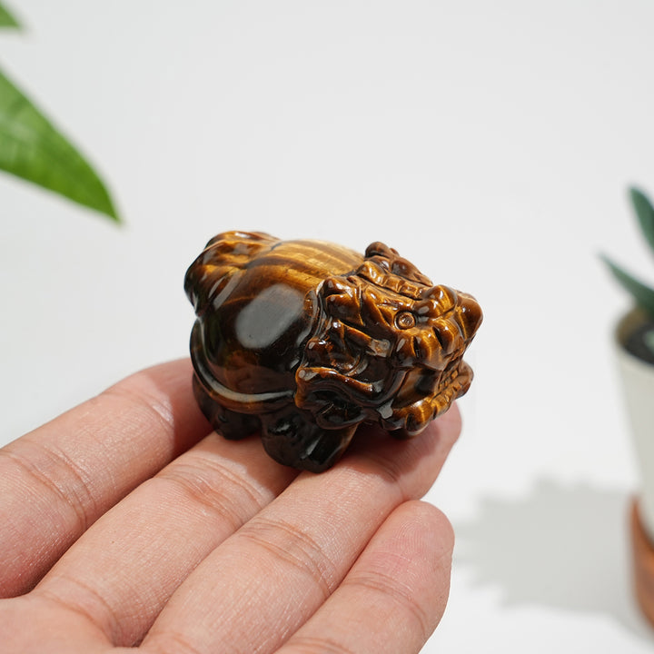 Natural Crystal Tiger Eye Dragon Turtle Carving