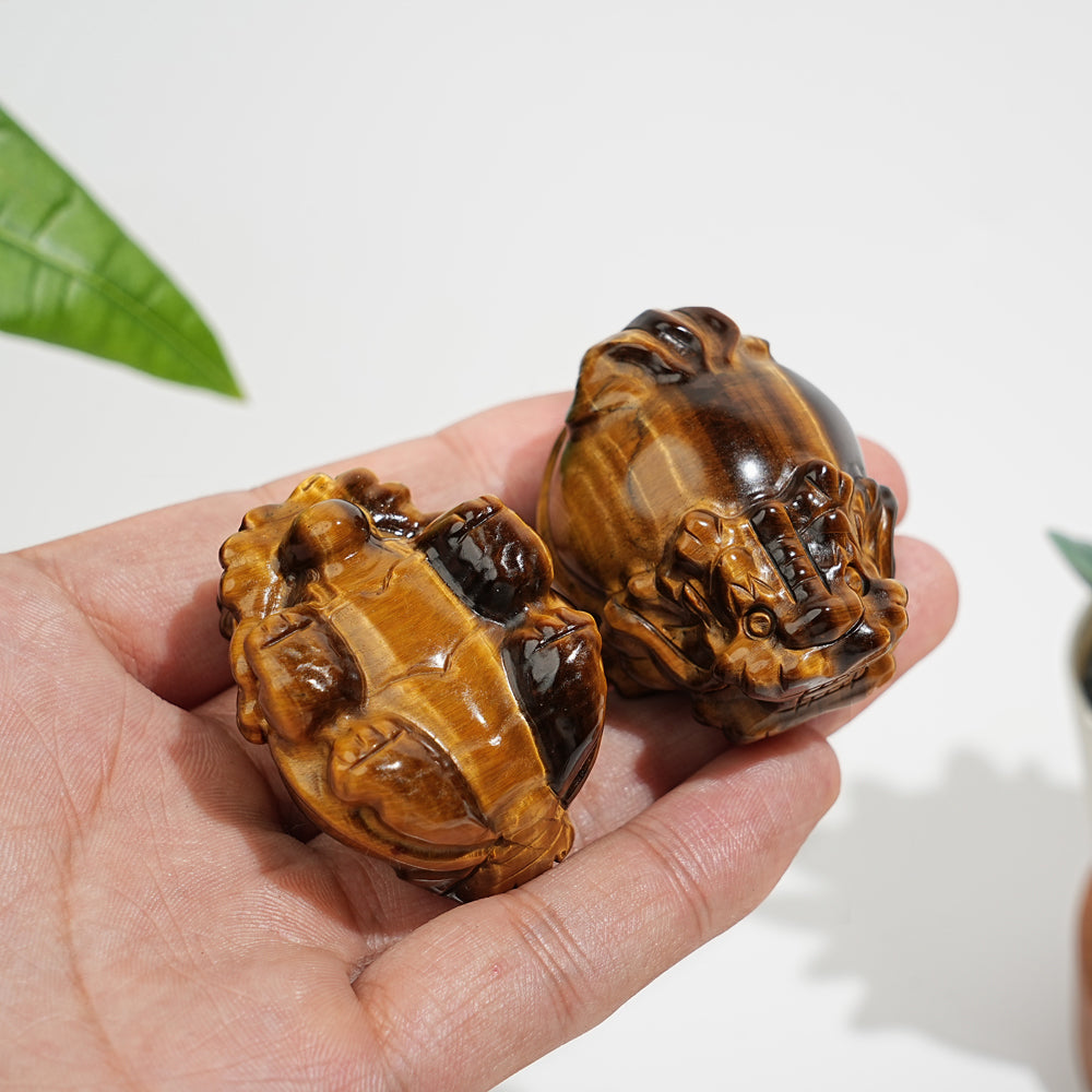 Natural Crystal Tiger Eye Dragon Turtle Carving