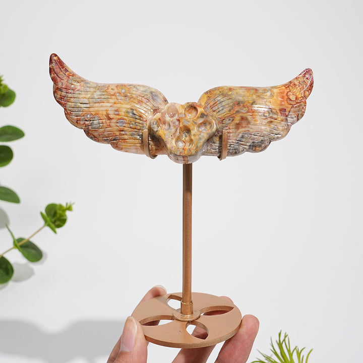 Unique,A Slightly Imperfect Natural Crystal Crazy Agate Cat Paw Wing
