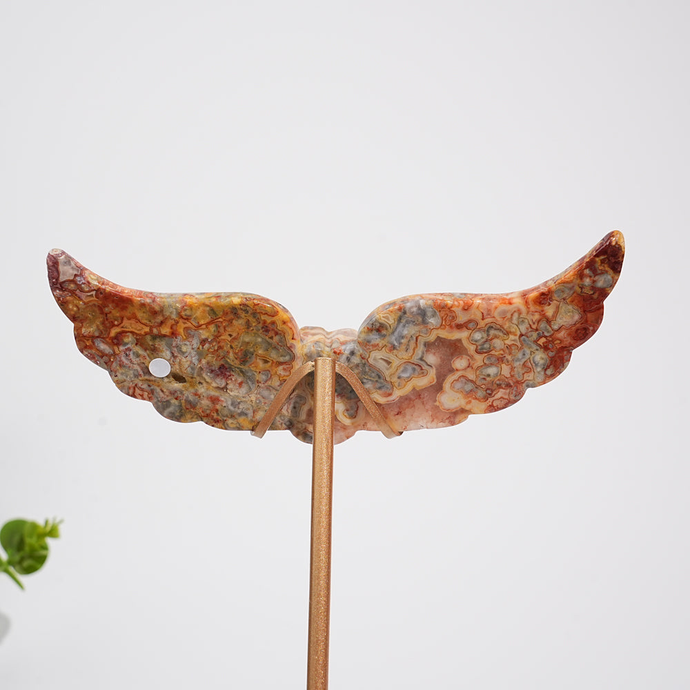 Unique,A Slightly Imperfect Natural Crystal Crazy Agate Cat Paw Wing
