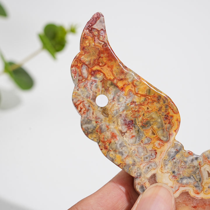 Unique,A Slightly Imperfect Natural Crystal Crazy Agate Cat Paw Wing