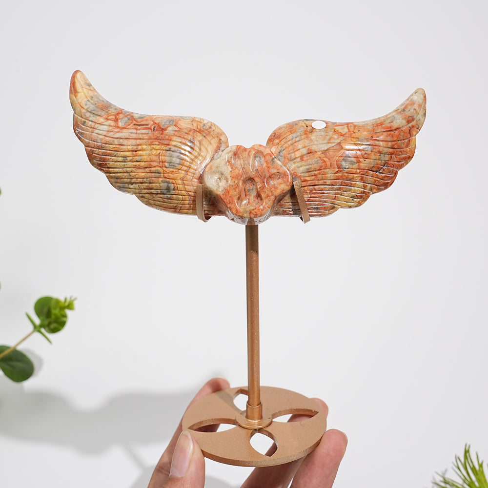 Unique,A Slightly Imperfect Natural Crystal Crazy Agate Cat Paw Wing