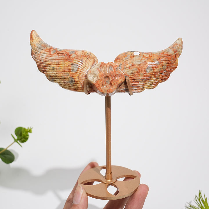Unique,A Slightly Imperfect Natural Crystal Crazy Agate Cat Paw Wing