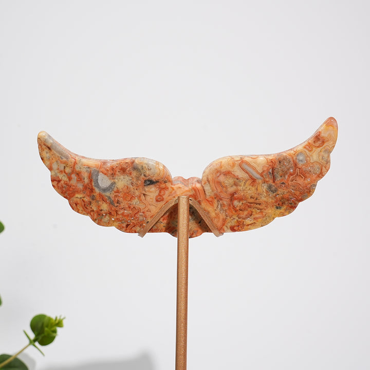 Unique,A Slightly Imperfect Natural Crystal Crazy Agate Cat Paw Wing