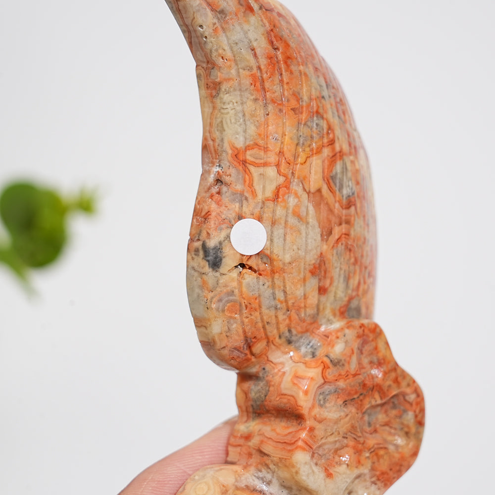 Unique,A Slightly Imperfect Natural Crystal Crazy Agate Cat Paw Wing