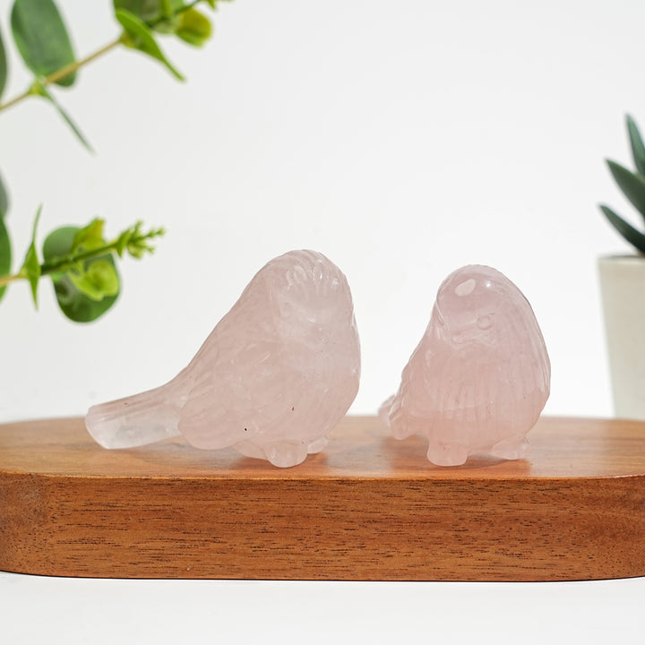Natural Crystal Delicate Chubby Songbird Mini Carving