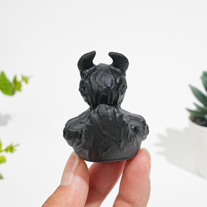 Natural Crystal Black Obsidian Devil Duck Carving