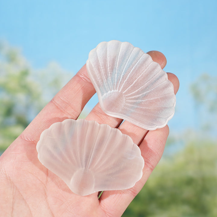 Natural Selenite Seashell Figurine