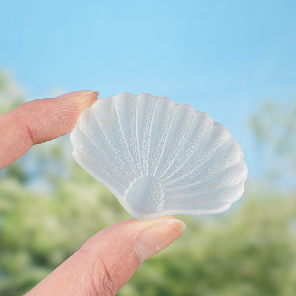 Natural Selenite Seashell Figurine