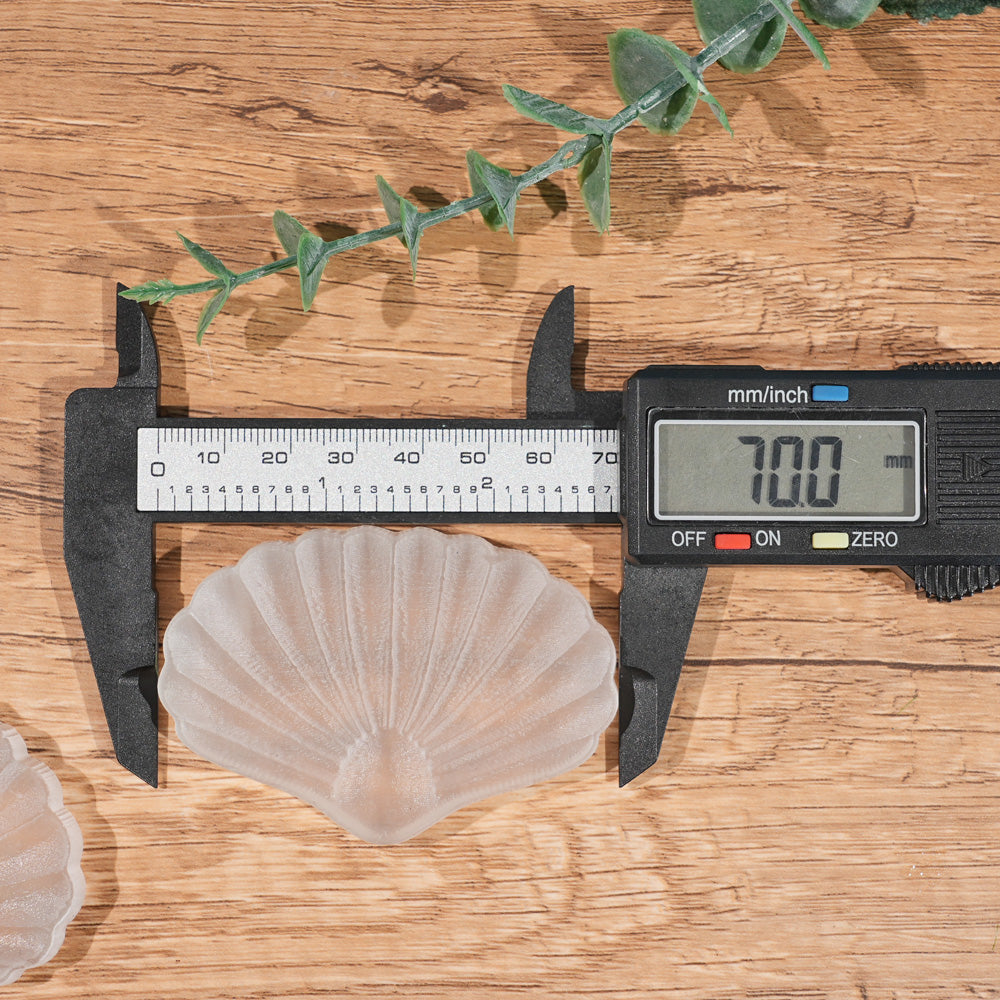 Natural Selenite Seashell Figurine