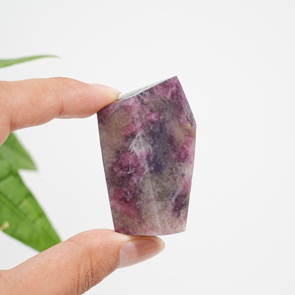 Natural Crystal Unicorn Stone Freeform