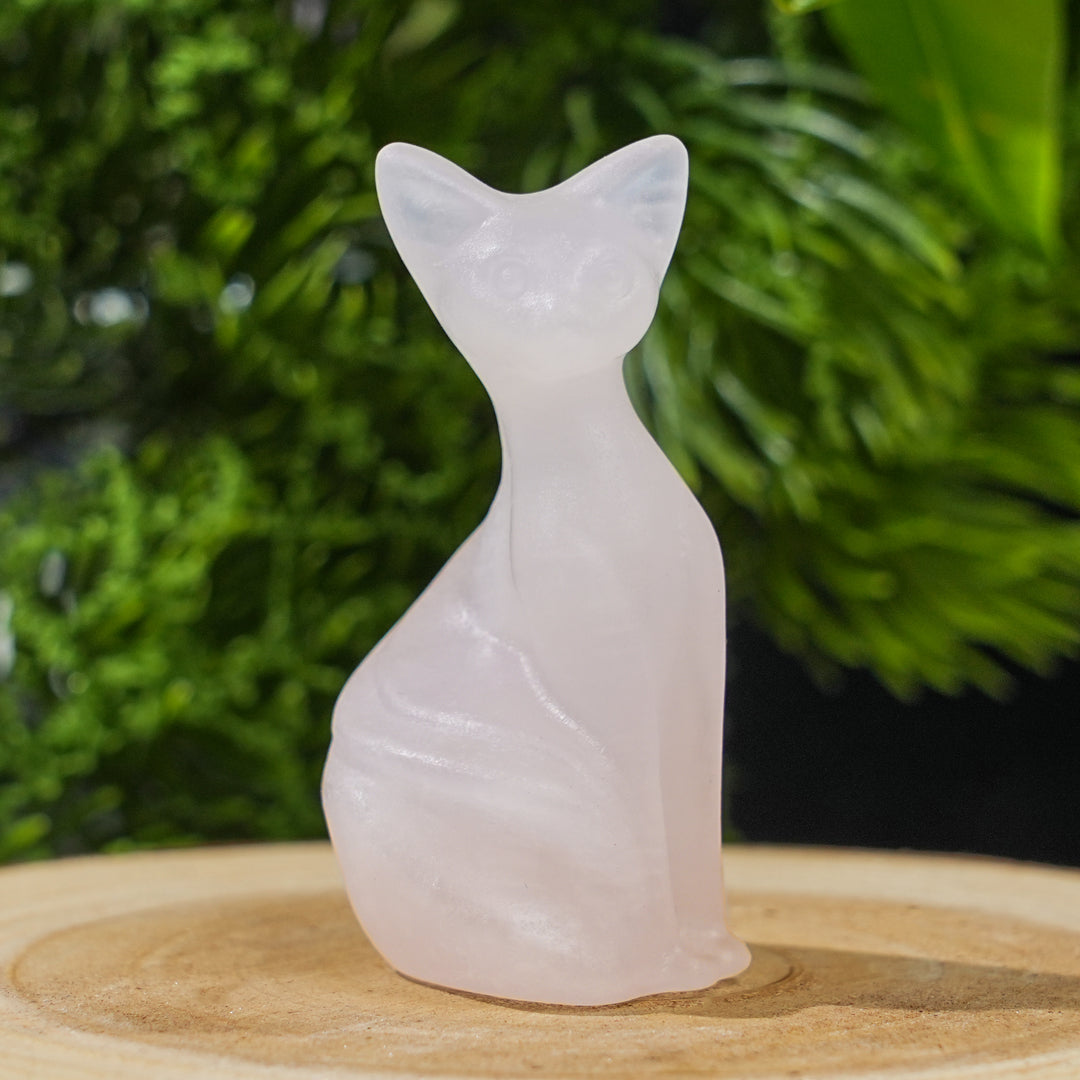 Natural Crystal Pixel Cat