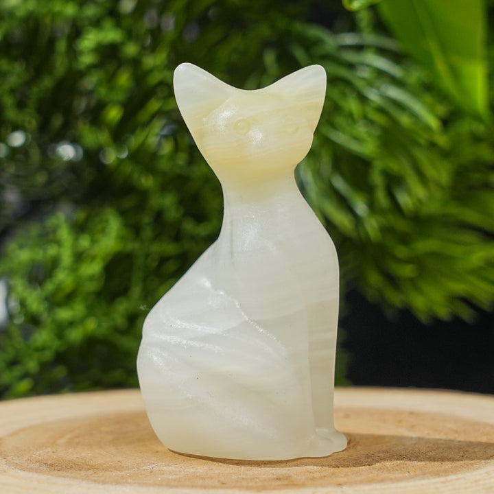 Natural Crystal Pixel Cat