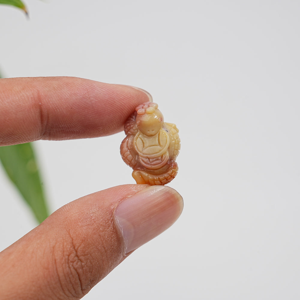 Natural Crystal Alashan Agate Coin Snake