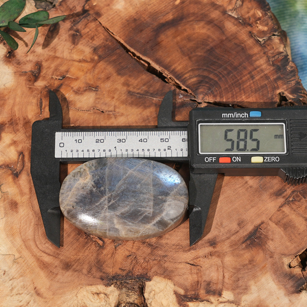 Natural Moonstone Palm