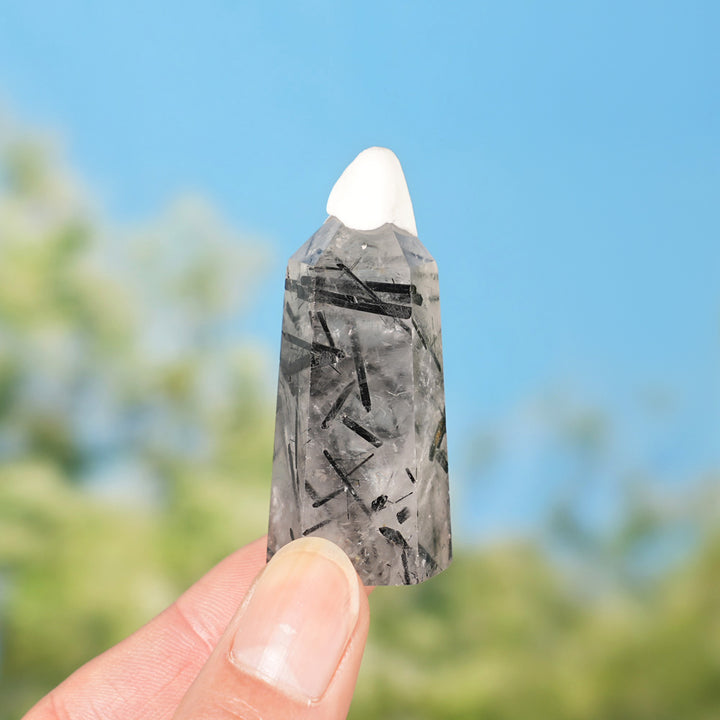 Natural Quartz Tourmaline Point