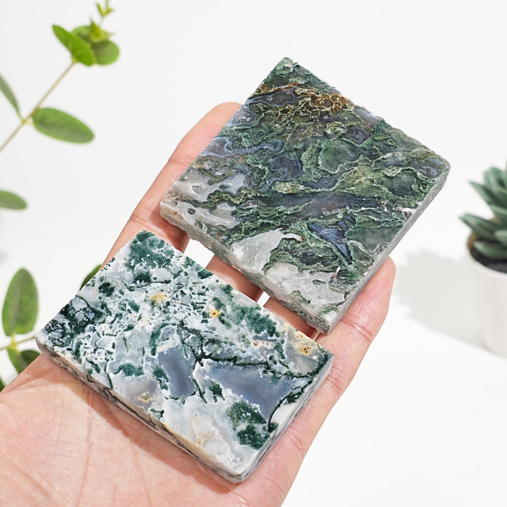 Natural Crystal Moss Agate Slice