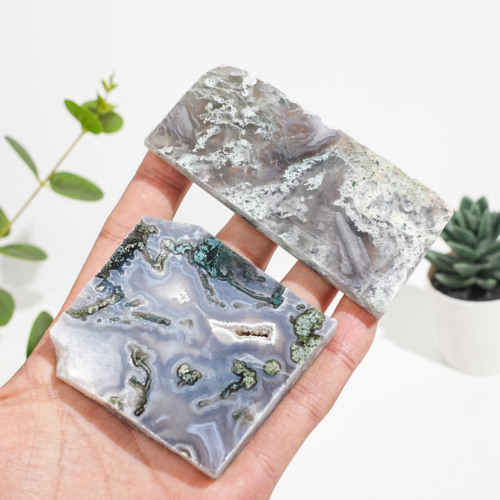 Natural Crystal Moss Agate Slice