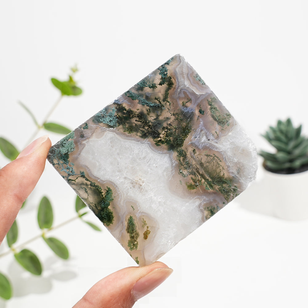 Natural Crystal Moss Agate Slice