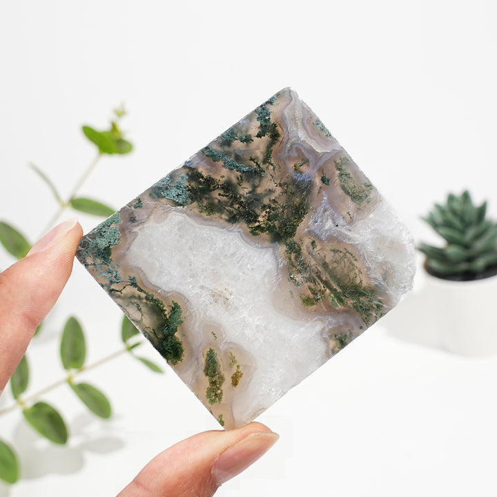 Natural Crystal Moss Agate Slice