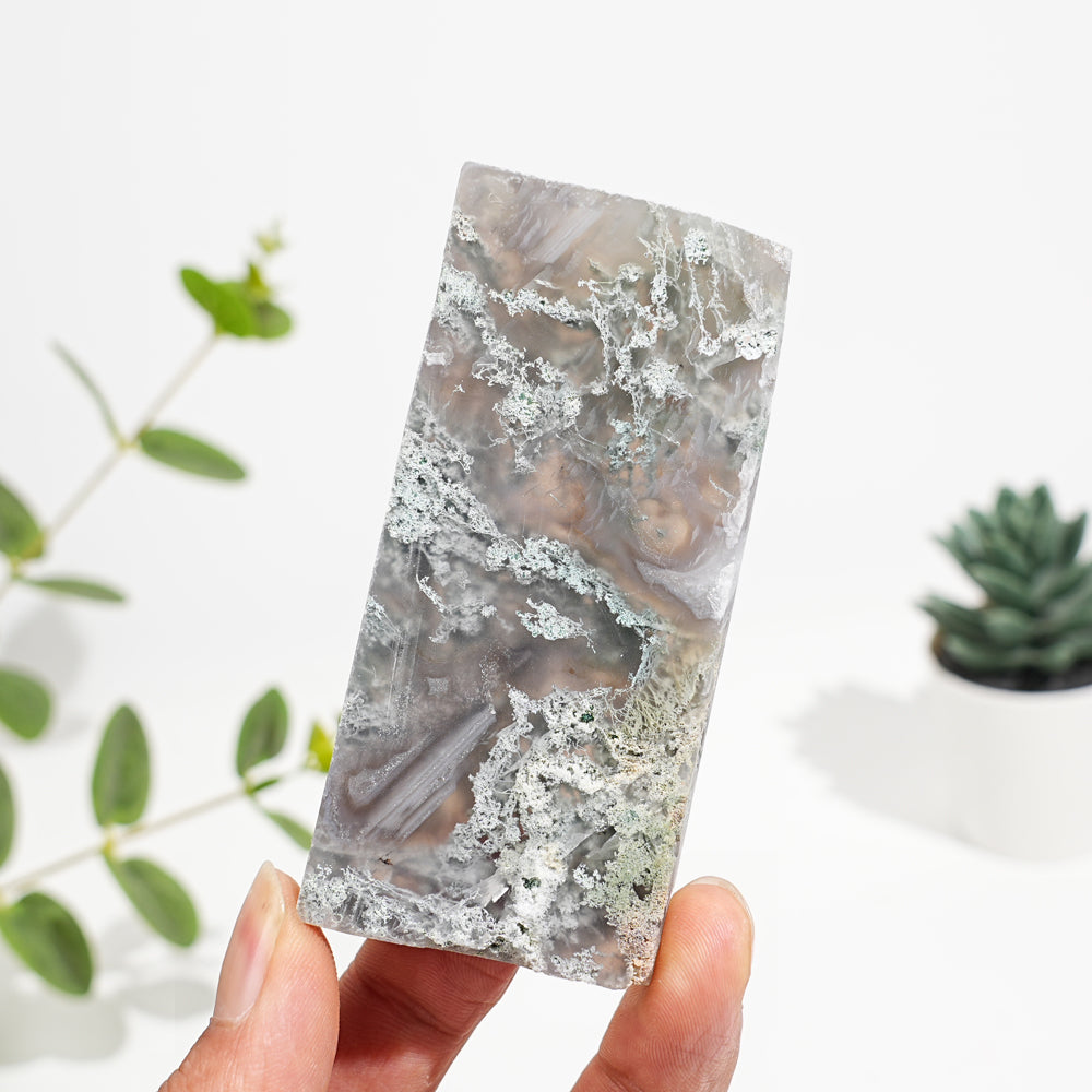 Natural Crystal Moss Agate Slice