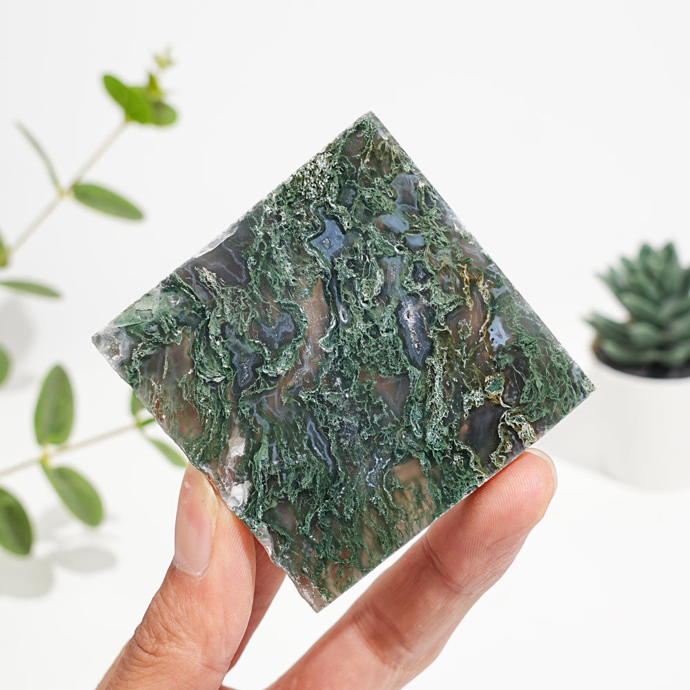Natural Crystal Moss Agate Slice