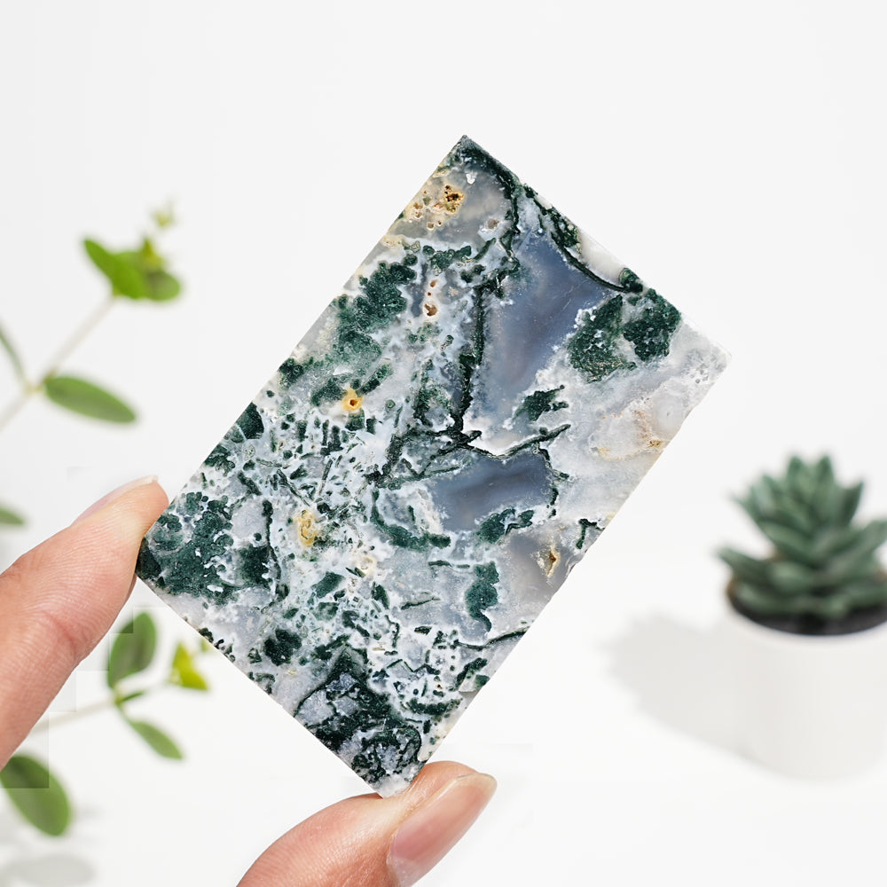Natural Crystal Moss Agate Slice