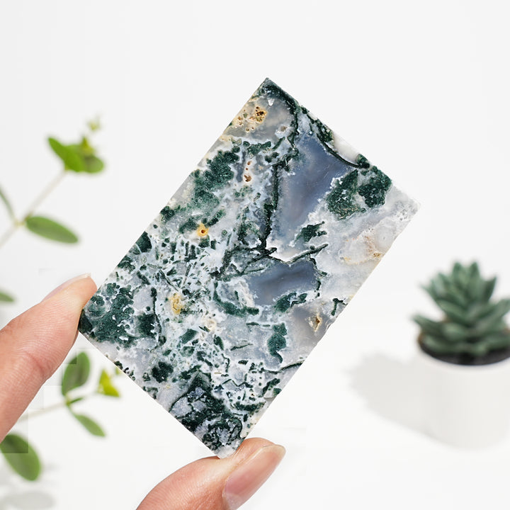 Natural Crystal Moss Agate Slice