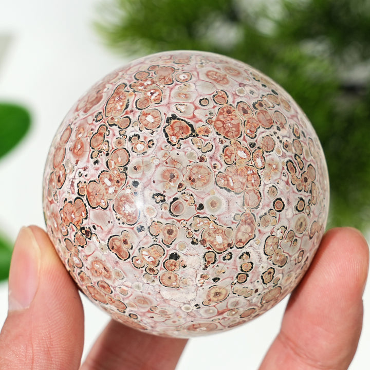 Natural Leopard Skin Jasper Sphere