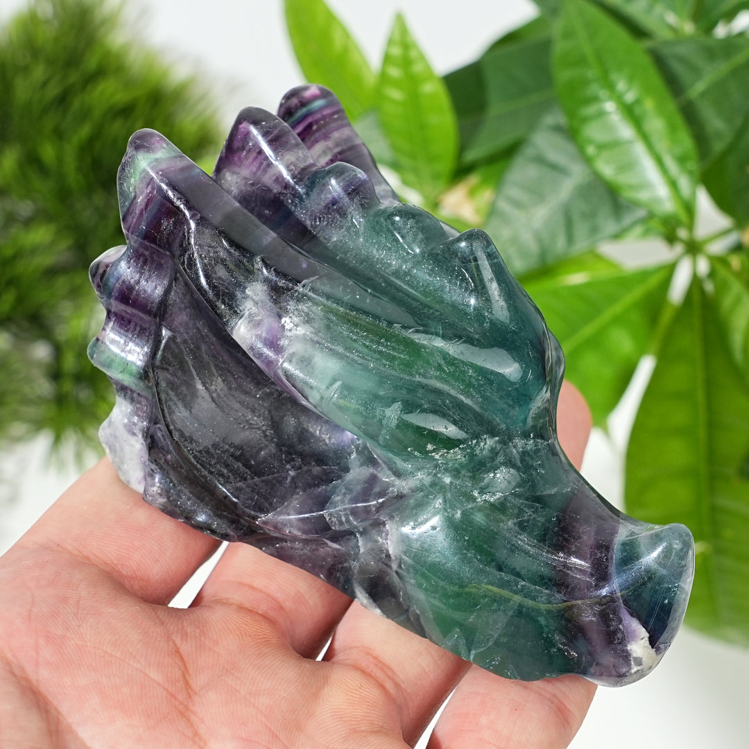Natural Fluorite Dragon Skull