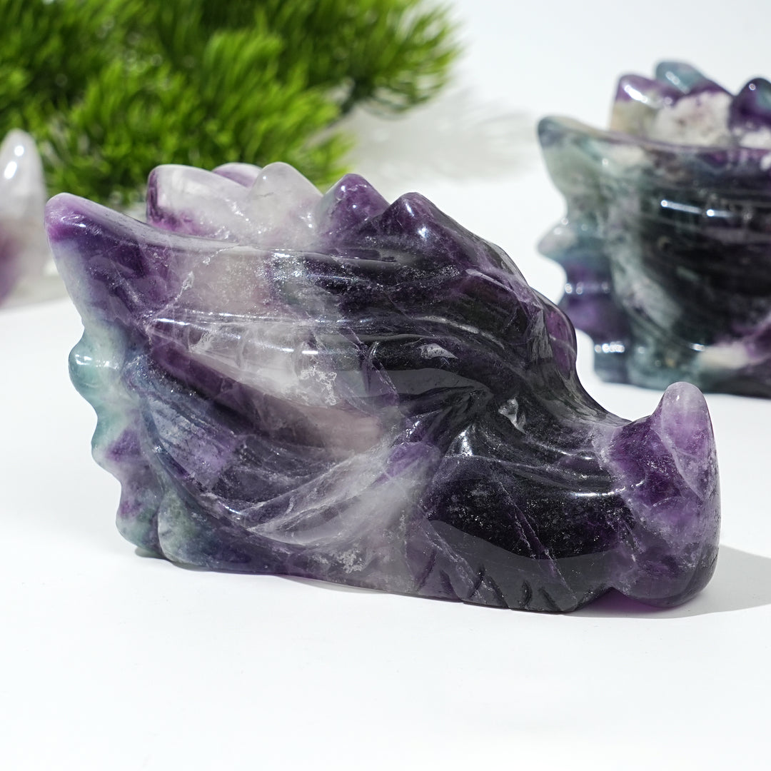 Natural Fluorite Dragon Skull