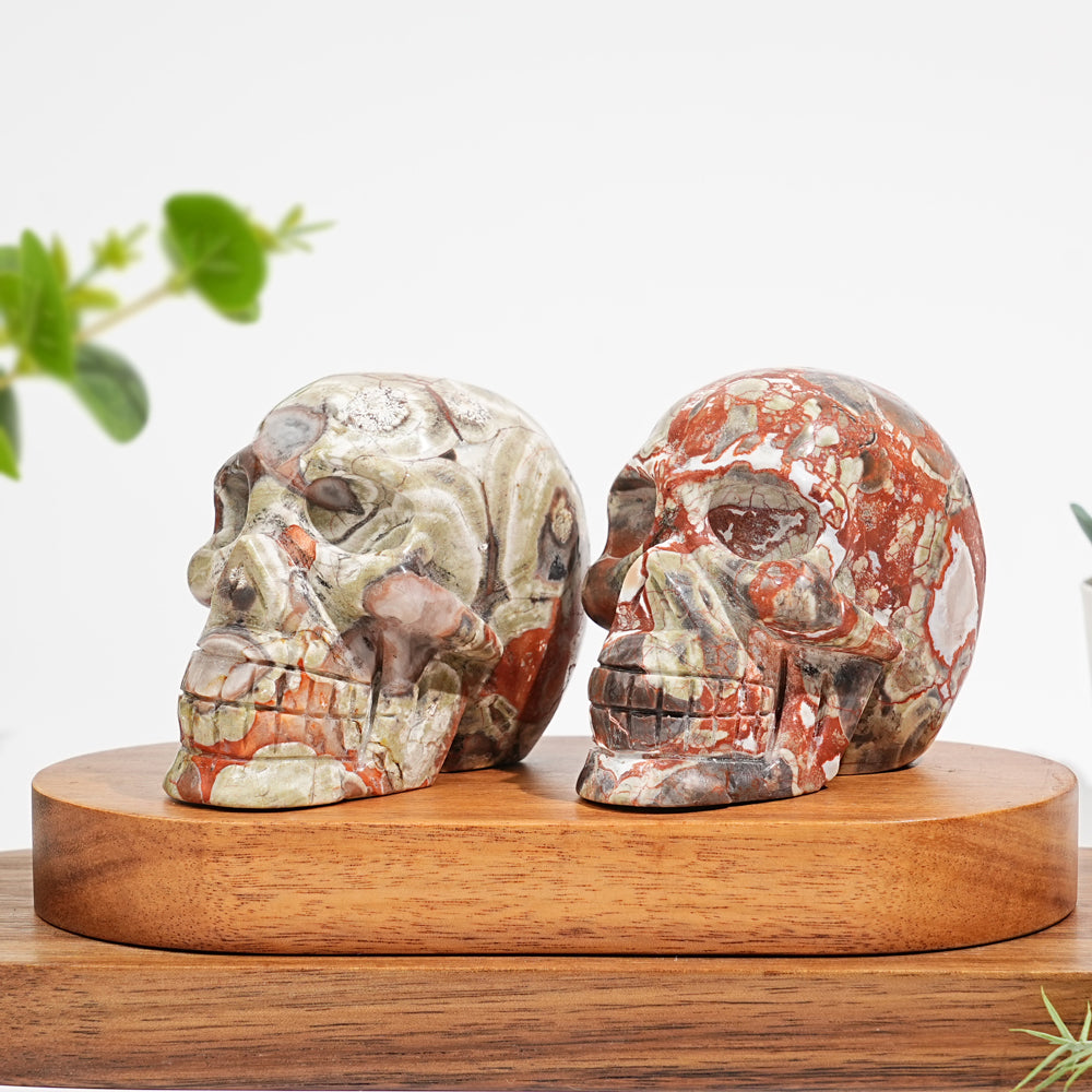 Unique,Natural Money Agate Skull Carving